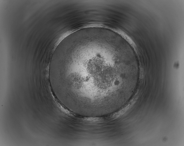 X0000098120953200804041405