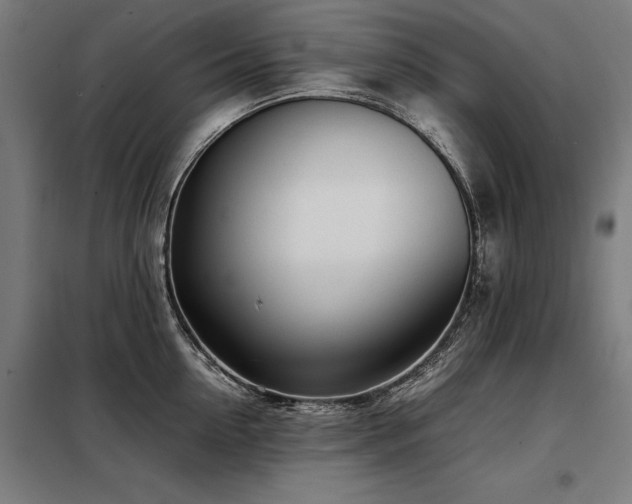 X0000098120954200804041405