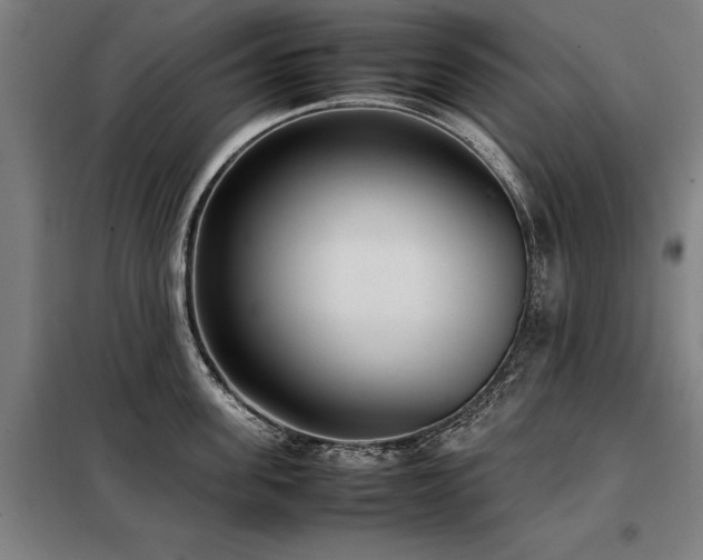 X0000098120955200804041405
