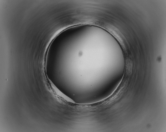 X0000098120956200804041405