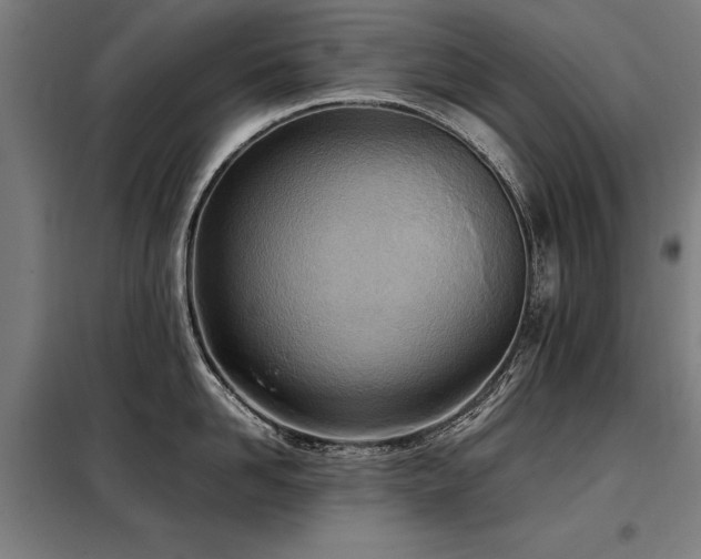 X0000098120958200804041405