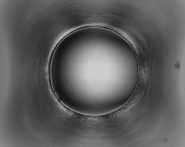 X0000098120959200804041405