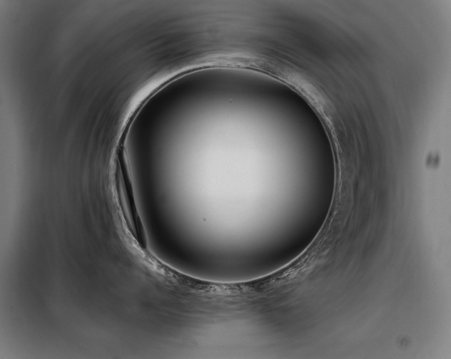 X0000098120960200804041405