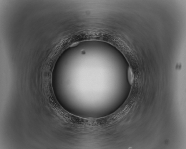 X0000098120961200804041404