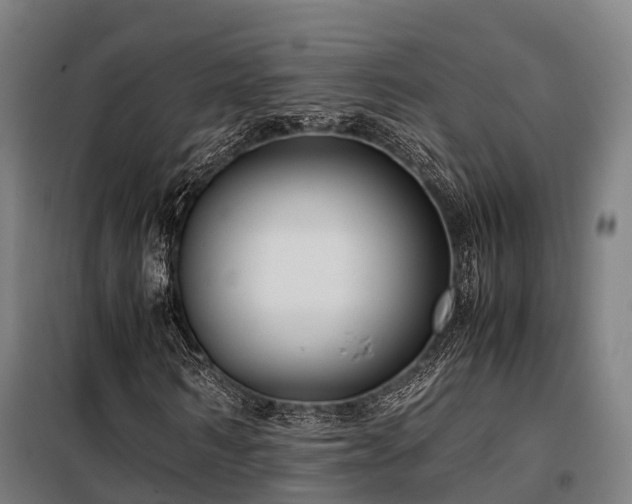 X0000098120962200804041404