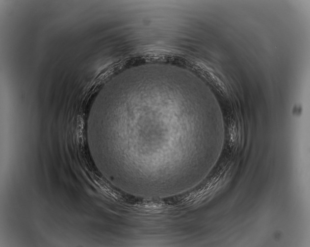 X0000098120964200804041404
