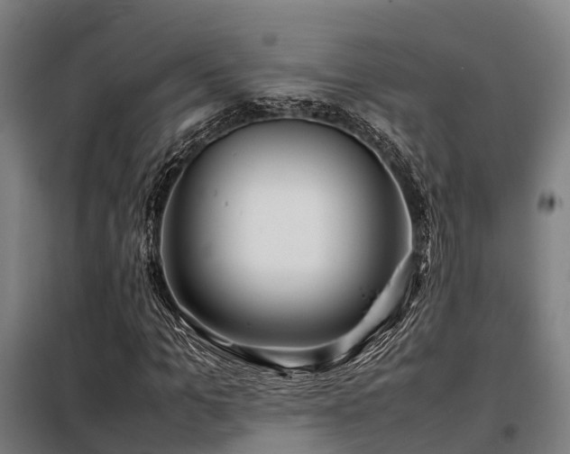 X0000098120965200804041404