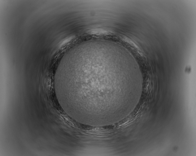X0000098120966200804041404