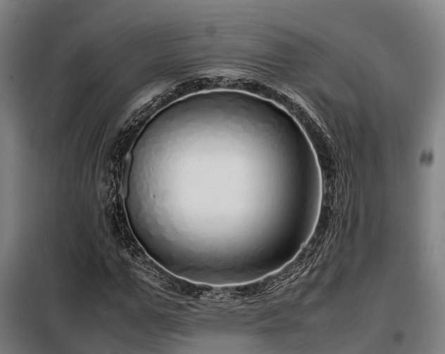 X0000098120967200804041404