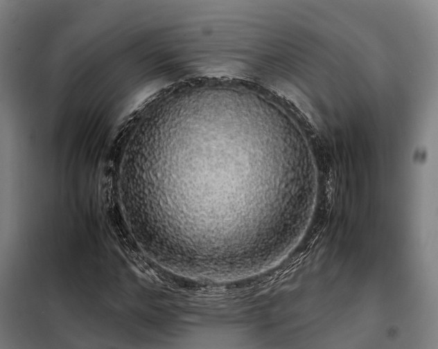 X0000098120968200804041404