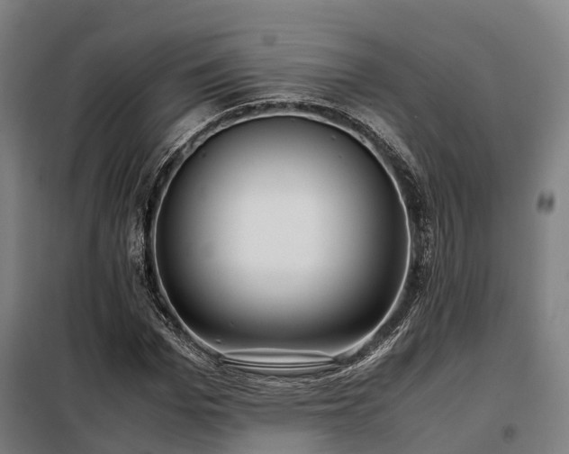 X0000098120969200804041404