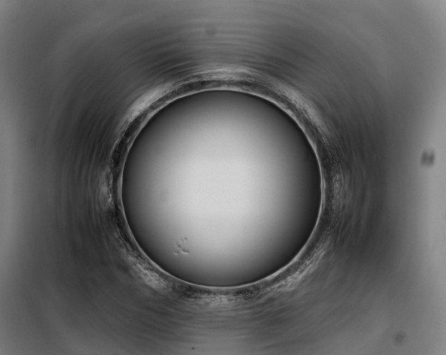 X0000098120970200804041404