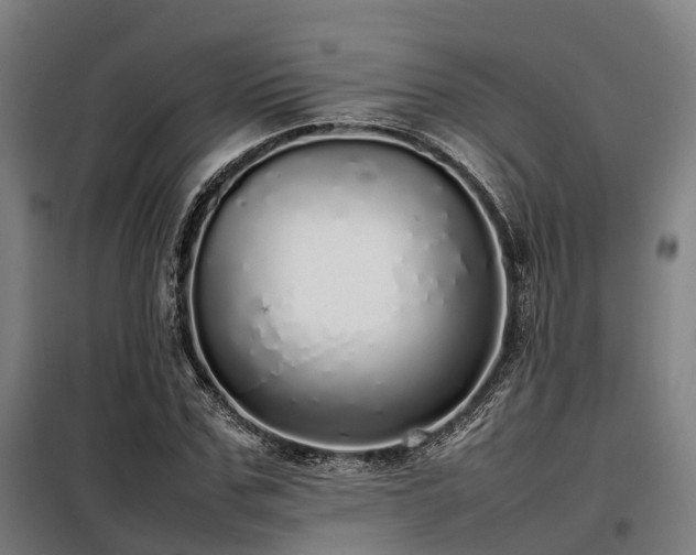 X0000098120971200804041404