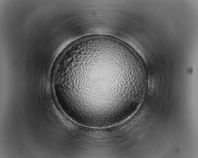 X0000098120972200804041404