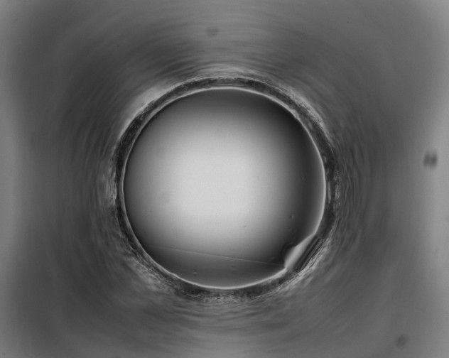 X0000098120973200804041404