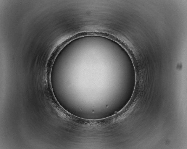 X0000098120974200804041404