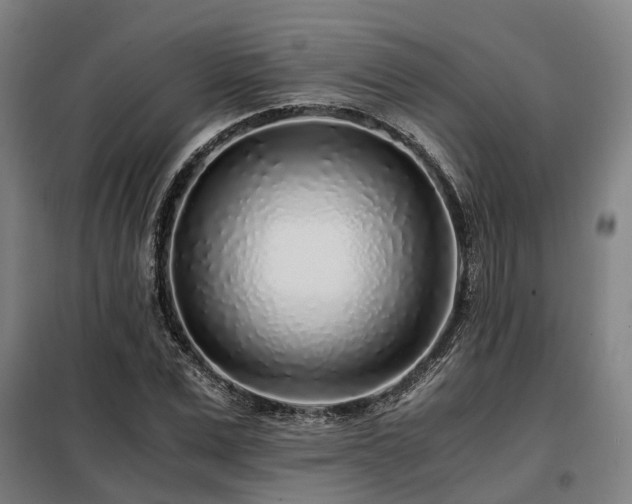 X0000098120975200804041404