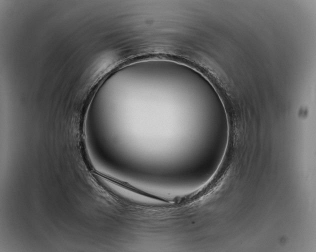 X0000098120977200804041404