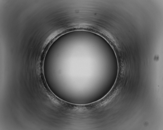X0000098120978200804041404