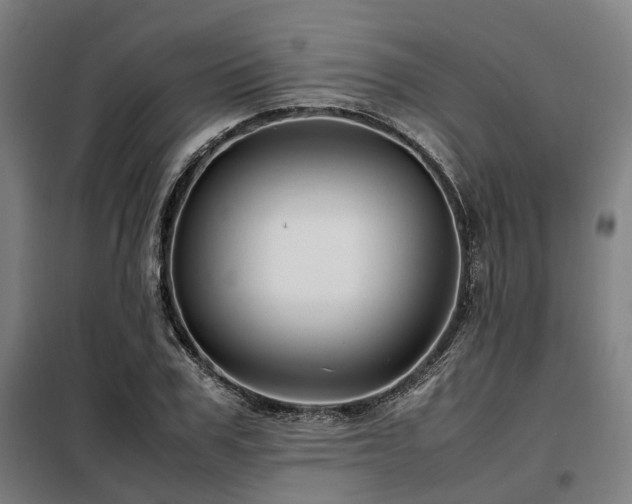 X0000098120979200804041404