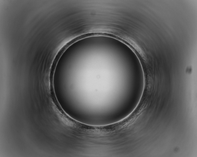 X0000098120980200804041404