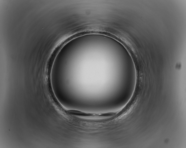 X0000098120981200804041404