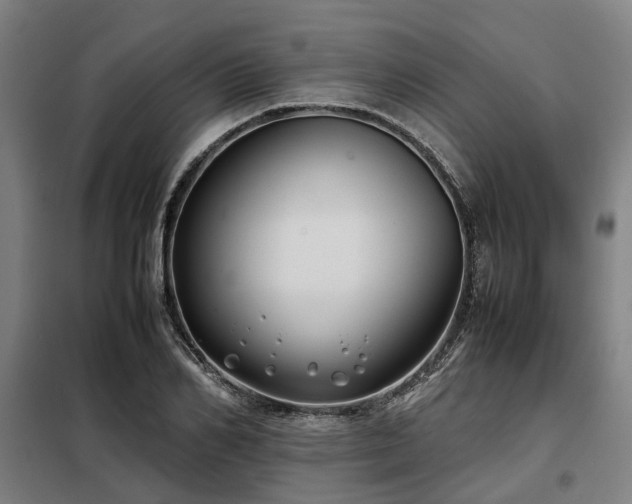X0000098120982200804041404