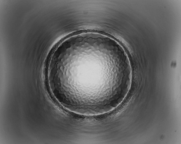 X0000098120983200804041404