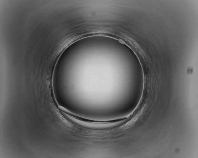 X0000098120985200804041404