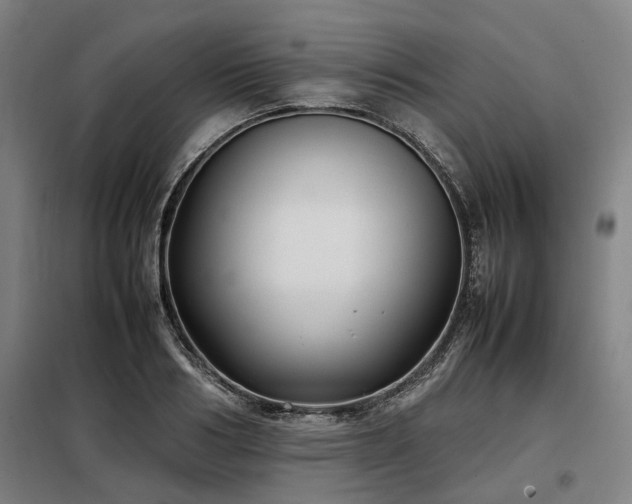 X0000098120986200804041404
