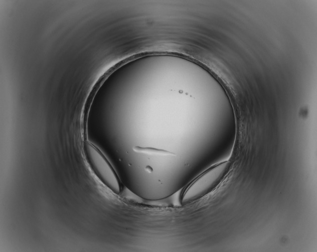 X0000098120988200804041404