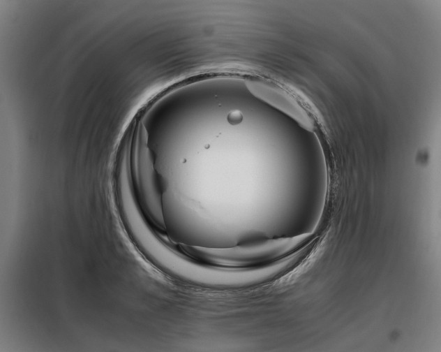 X0000098120989200804041404