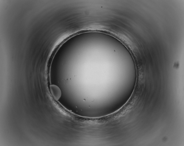 X0000098120990200804041404