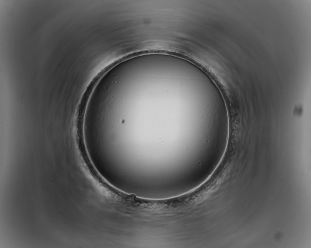 X0000098120991200804041404