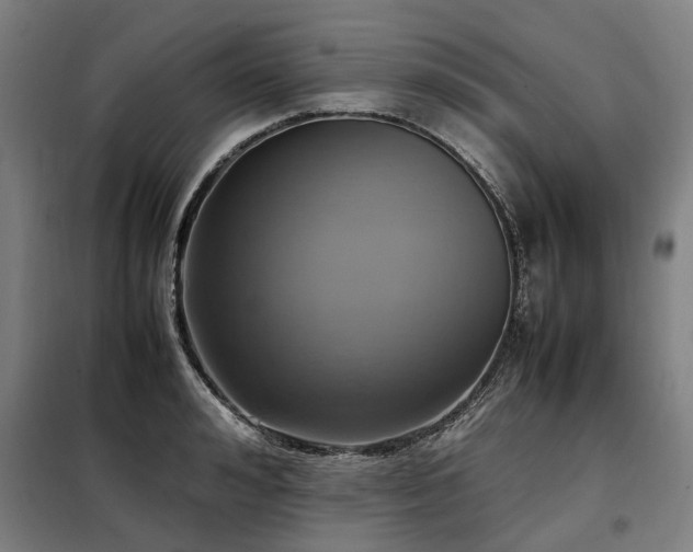 X0000098120992200804041404