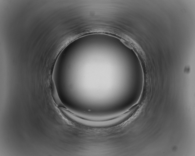 X0000098120993200804041404