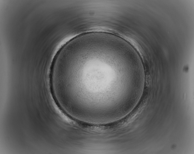 X0000098120995200804041404