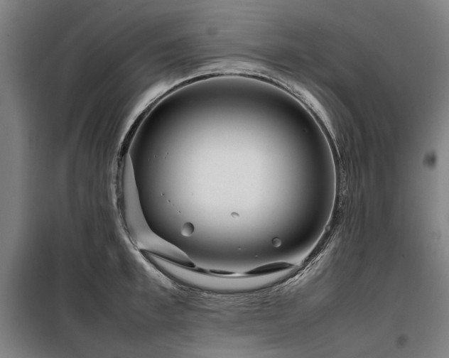 X0000098120997200804041404