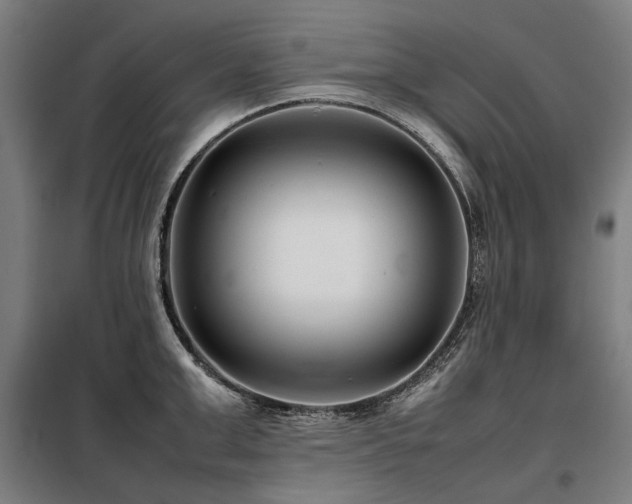 X0000098120999200804041404