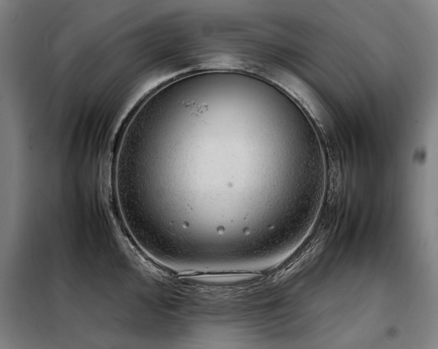 X0000098121000200804041404