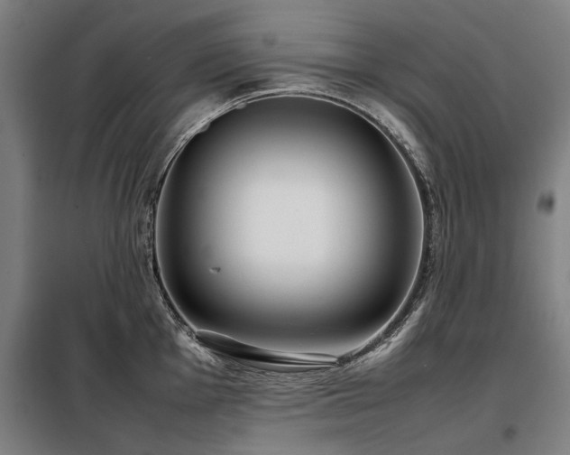 X0000098121001200804041403