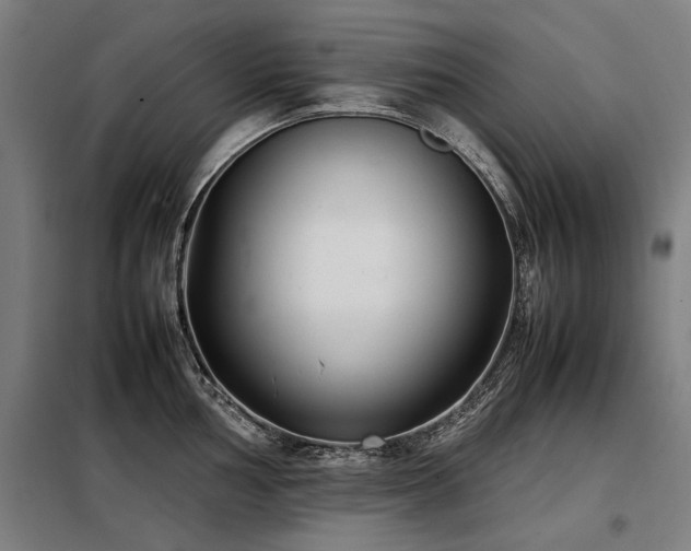 X0000098121002200804041403