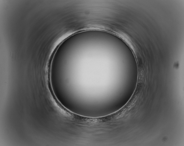 X0000098121003200804041403