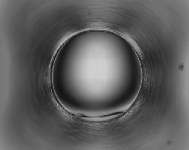 X0000098121004200804041403