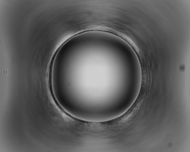 X0000098121007200804041403