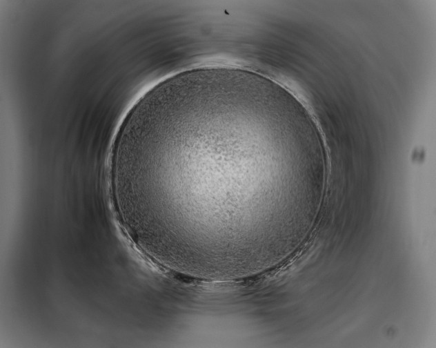 X0000098121008200804041403
