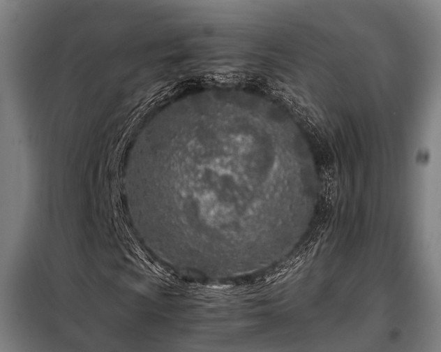 X0000098121009200804041403