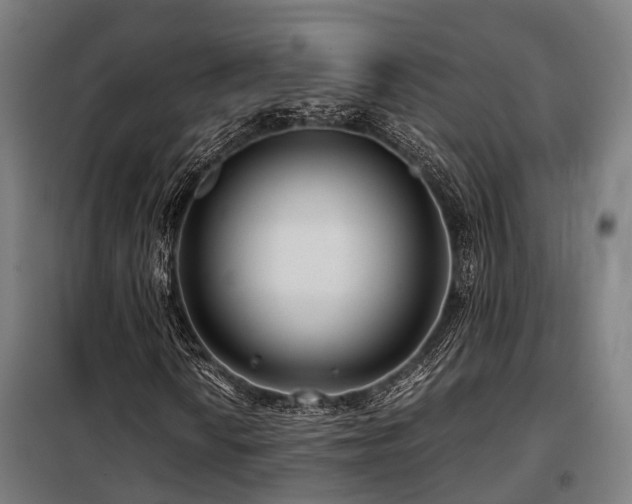 X0000098121010200804041403