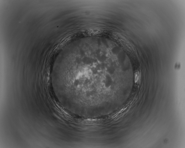 X0000098121011200804041403