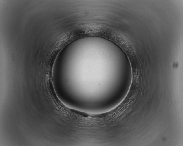 X0000098121012200804041403